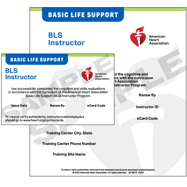 American Heart Association CPR instructor training